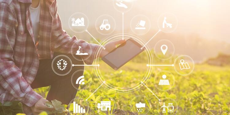 Akıllı tarım ne kadar akıllı?