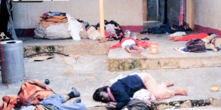 Delion’dan Halepçe’ye