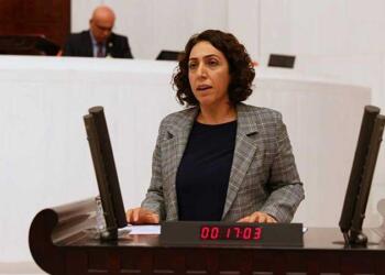 Aydeniz: 2022’de iktidarı göndereceğiz