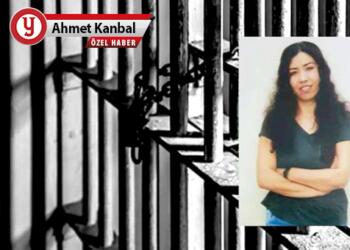 Kim bu Garibe Gezer?