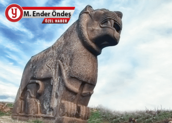 ‘Zeytin Dalı’ndan talan ve yağma çıktı