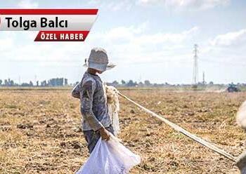 Çocuk ölümü en çok Urfa’da görüldü: Kent çocuk işçiliğinin merkezi haline geldi