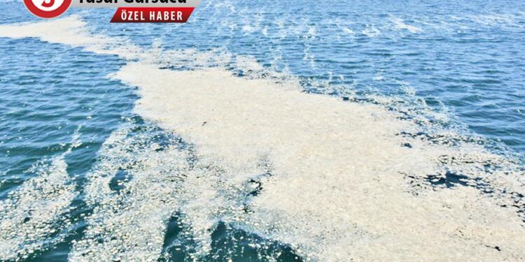 Marmara ölüyor, sırada ne var!