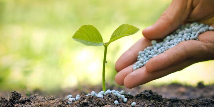Tarım çöktü, gıda krizi kapıda