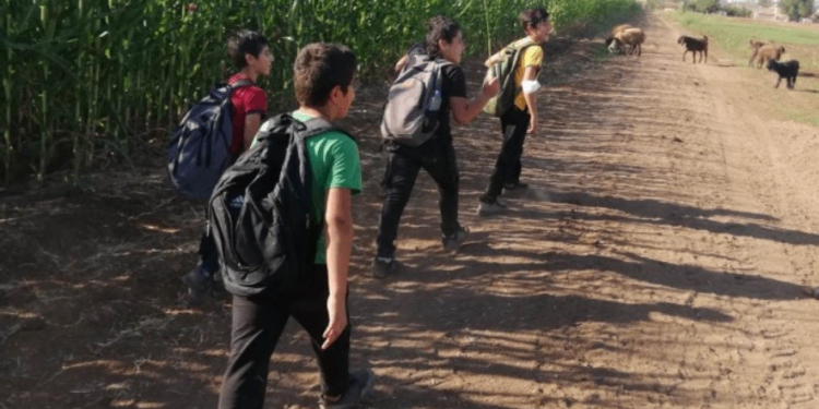 14 kişilik servise 25 öğrenci bindiriliyor