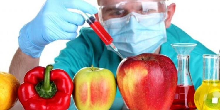 Tarım Bakanlığı GDO’dan vazgeçmiyor