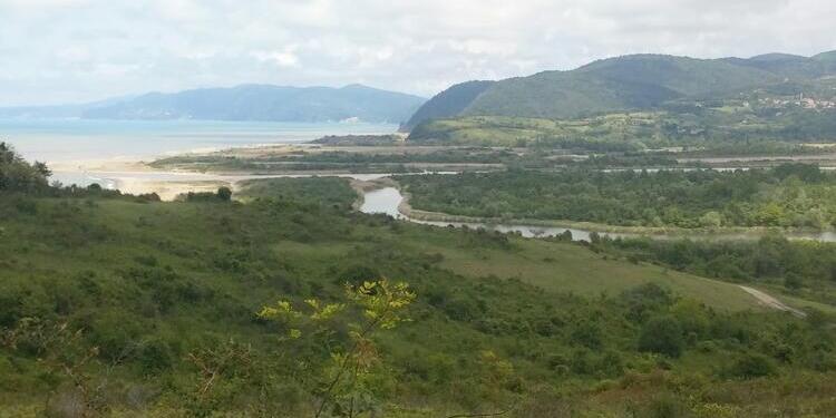 Filyos Vadisi ve Irmağı katlediliyor