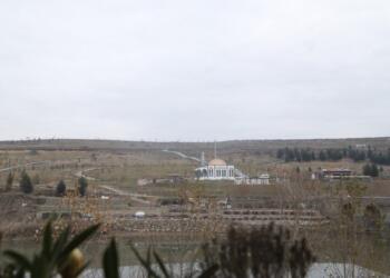 Devlet Bahçeli adına orman oluşturma kararına tepki: Kürtlere saygısızlıktır