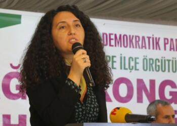 Günay: Barışın sesi İmralı’da kısılmaya çalışılıyor