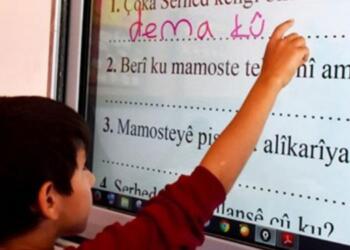 Anadilin seçmeli olması halka hakarettir