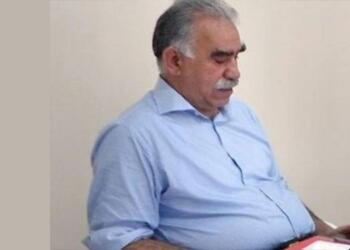 Yazar Çelik: İmralı tecridi kalkarsa Türkiye demokratikleşir