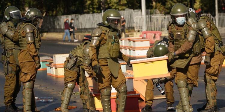 Arı üreticileri kovanlarla eylem yaptı: Saldıran polisleri arılar soktu