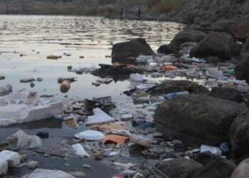 Dicle Nehri’ndeki kirliliğe tepki: Burası kayyumun gerçek yüzüdür