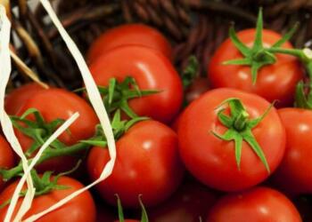 Domates fiyatı son 5 yılda yüzde 218 arttı