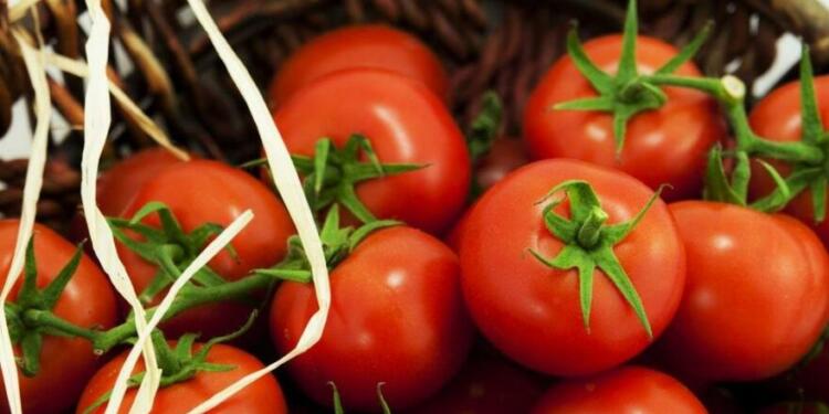 Domates fiyatı son 5 yılda yüzde 218 arttı