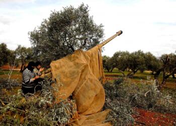 ‘İdlib’e saldırı sonrası su bidonunun fiyatı 100 TL’ye çıktı’