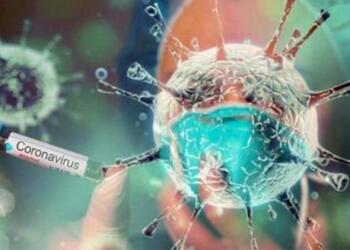 Aşısızlara test şartı tamamen kaldırıldı