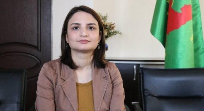 DBP Diyarbakır İl Eşbaşkanı Gülmez serbest bırakıldı