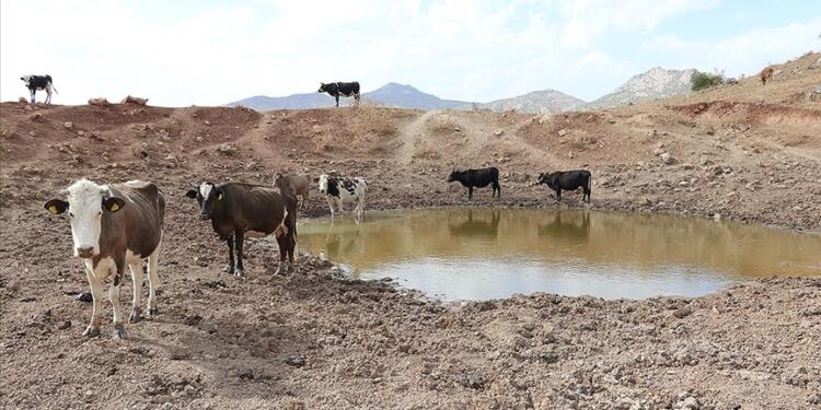 Batman’da kuraklık sürüyor