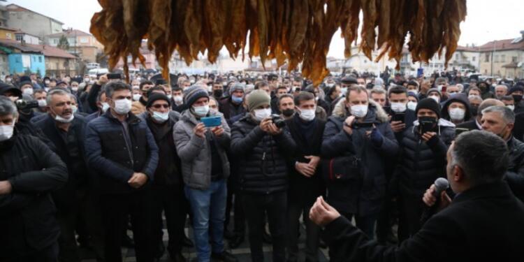 Tütün üreticileri isyan ediyor: Alın terimiz yasağa kurban edilmesin