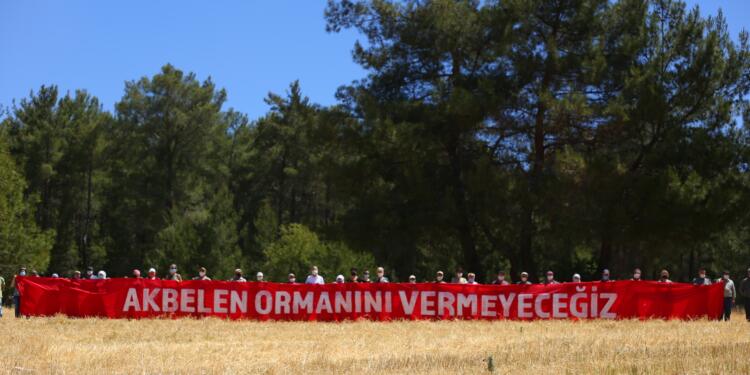 Akbelen Ormanı için yapılmak istenen keşif ertelendi