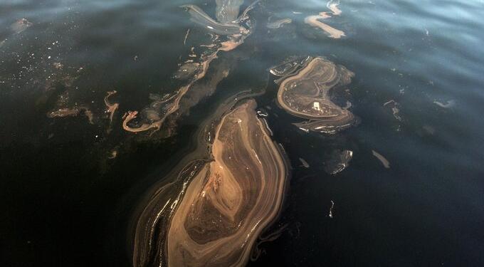 İstanbul’da müsilaj yeniden görüldü