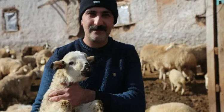 Elmadağ’da ‘komün köy’: Geçinemeyenler birlikte üretip, birlikte yaşıyor