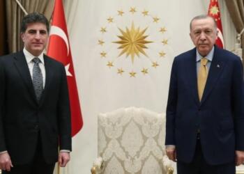 Barış Anneleri’den KDP’ye: Yanlış yolda yürümekten vazgeçsinler