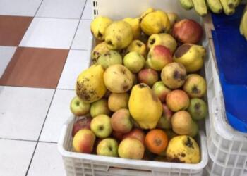 Çürük meyveler ‘ekonomik meyve’ diye satılıyor