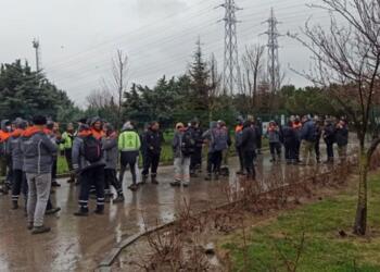 Ağaç A.Ş işçileri sendikal hakları için iş bıraktı