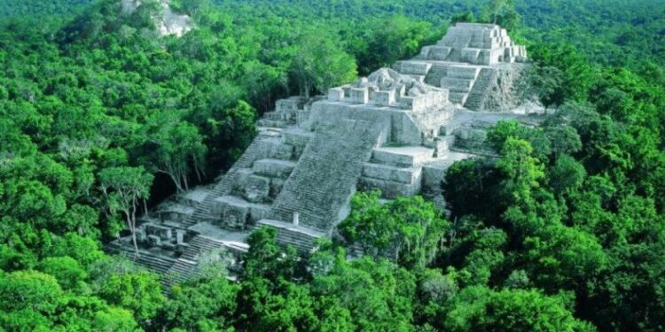 Maya Krallığı’nda tarım uygulaması