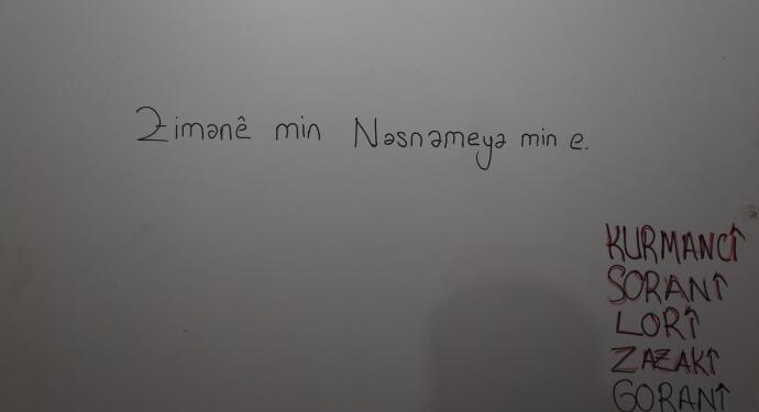 ‘Aileler çocuklarıyla Kürtçe konuşmalı’