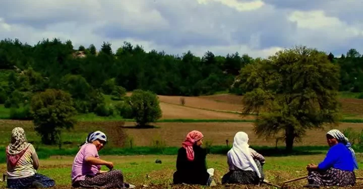 Araştırma: İstanbul’da diplomalı kadınlar işsizlerin oranı yüzde 42,8