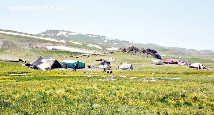 Doğal alanlar madenlere satılacak!