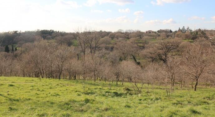 Hoşgit: Düzeni kadınlar değiştirecek
