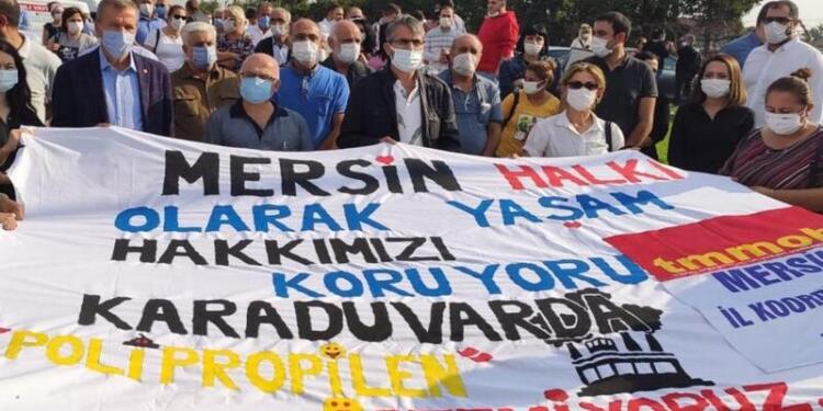 Zeytinliklerin talana açılmasına tepkiler büyüyor