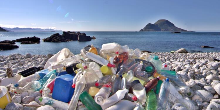 Plastik insan kanına da girdi