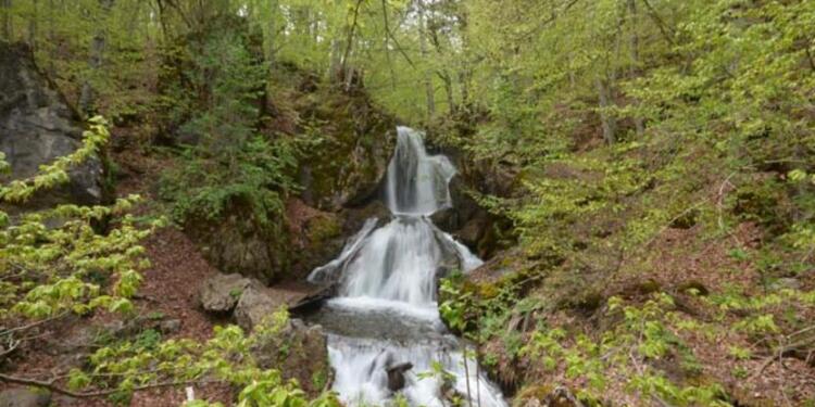 Tarih madene kurban ediliyor!