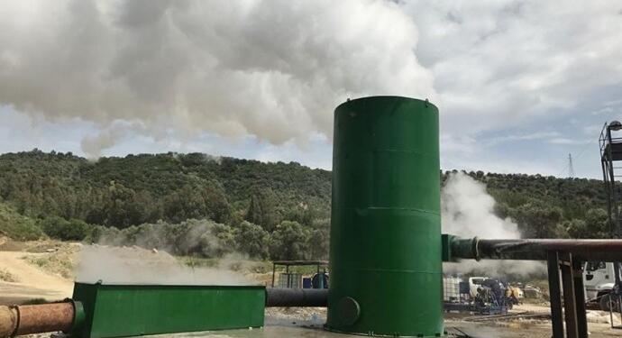 Aliağa’da kalan son yeşil alanda yok edilmek üzere