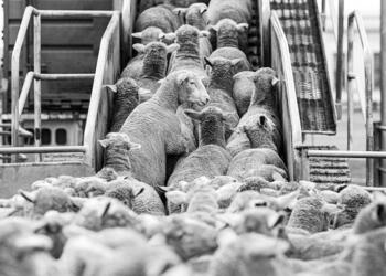 Dubai’ye var yurttaşa yok