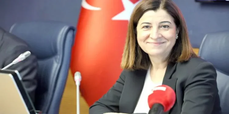 AKP’nin tarımla imtihanı: Nolur ayçiçeği ve buğday ekin