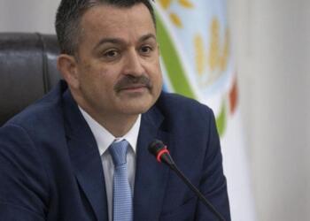 Tarım ve Orman Bakanı Pakdemirli istifa etti