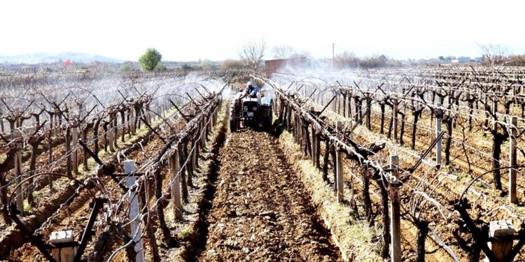 Sarıgöl JES tehdidi altında: Keşif yapılacak