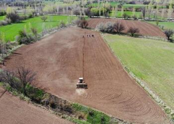 AKP’li belediye 91 tarım arazisini satıyor
