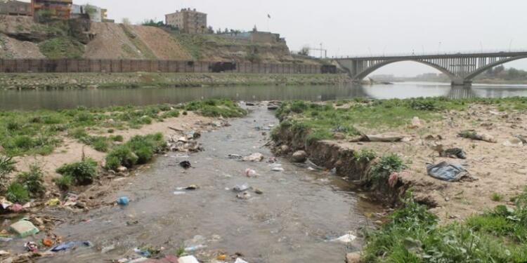 Dicle’de canlı yaşam yok olmakla yüz yüze