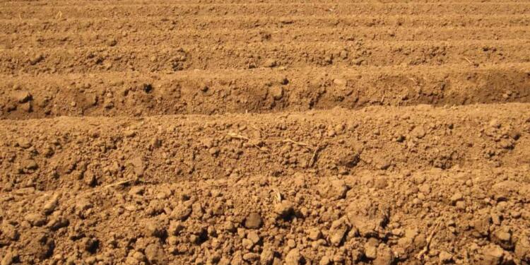 AKP tarımı bitirdi: 3 milyon 435 bin hektar alan heba oldu