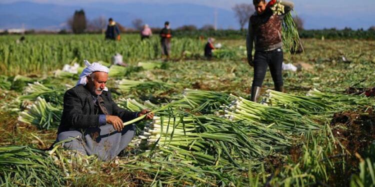 Bakan Kirişci: Tarımda eksik yok!