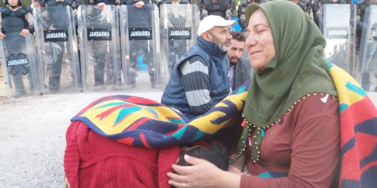 Kömür batırır zeytin kurtarır