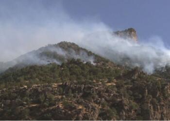 Ne çözüm çıktı ne sonuç alındı