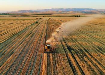 Üretici enflasyonu yüzde 84’ü geçti